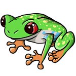 Frog image