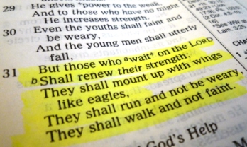 Isaiah 40-31