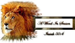 lion image