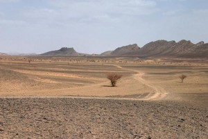 Desert image