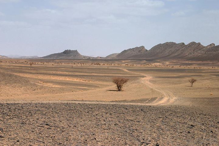 Desert image