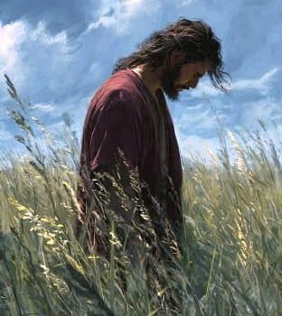 illustration of main in field, supplied by Patti Young