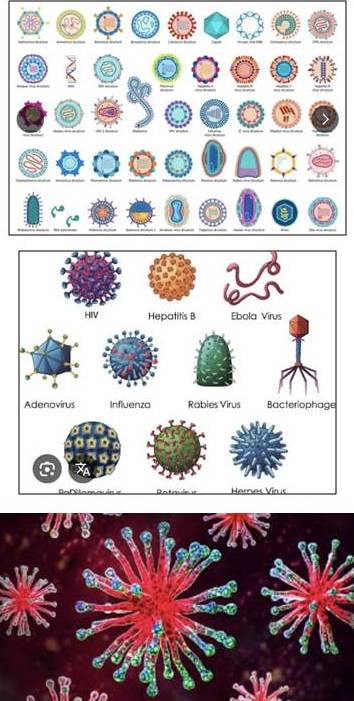 Virus images supplied by Chen Youen
